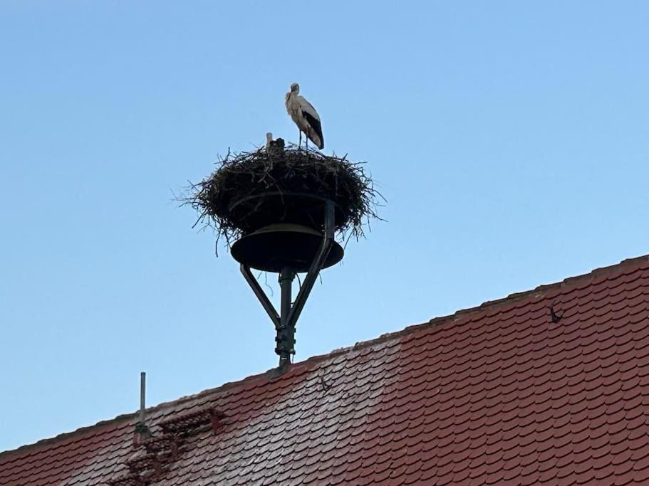 Appartement Am Storchennest *
