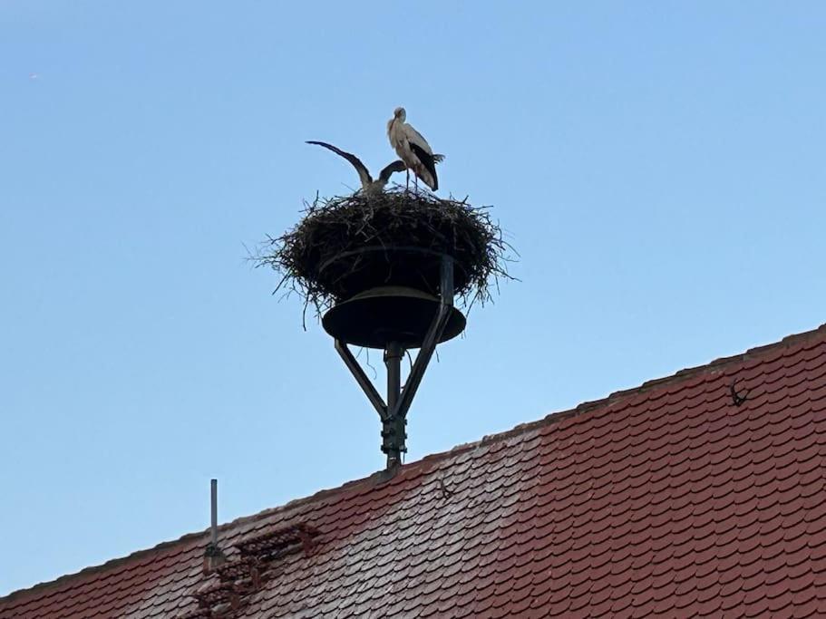Am Storchennest Appartement *