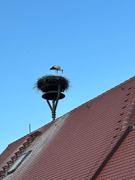 Am Storchennest Appartement