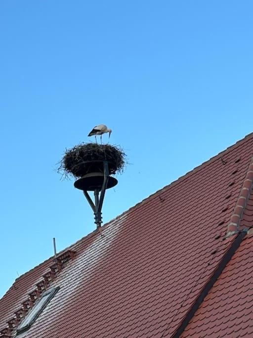 Appartement Am Storchennest